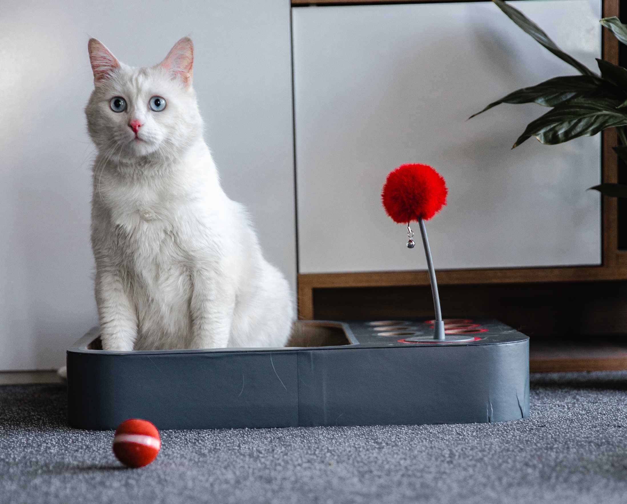 Cheerble 2合1 智能貓咪互動迷宮