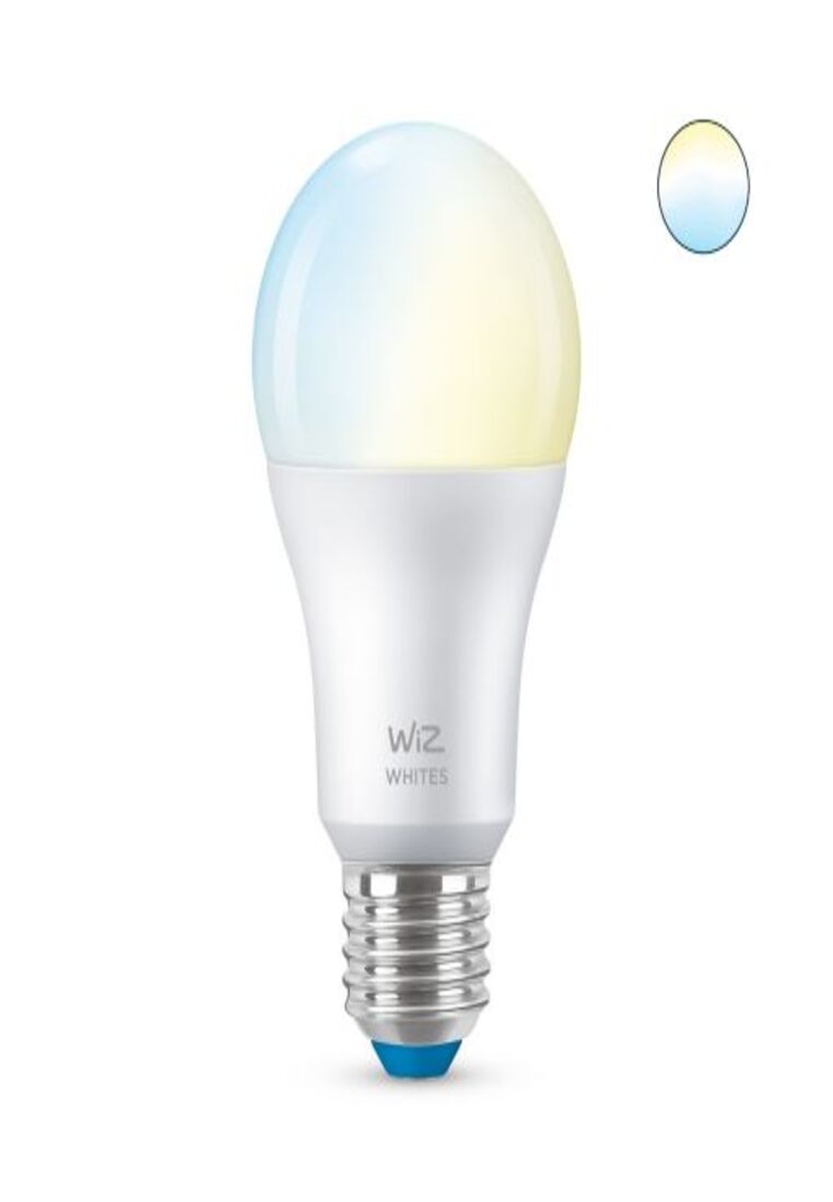 Bulb A60 E27 TW 1