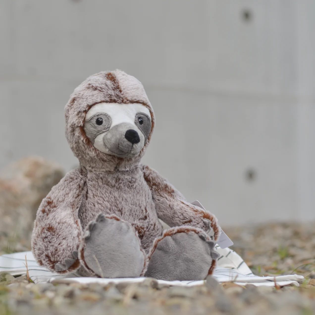 瑞典Teddykompaniet 樹懶(品牌直送) - SearchingC