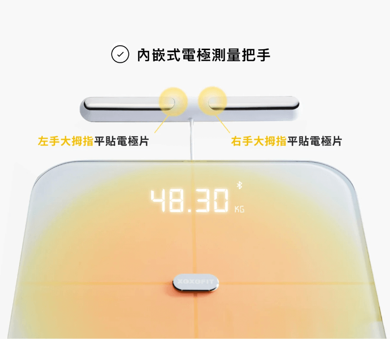 配置內嵌式電極測量把手