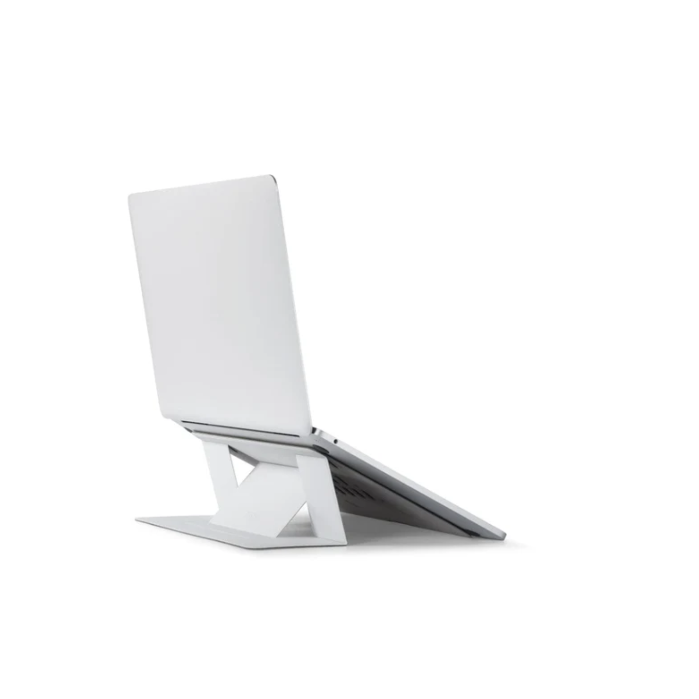 White-Background-fotor-2025022512354