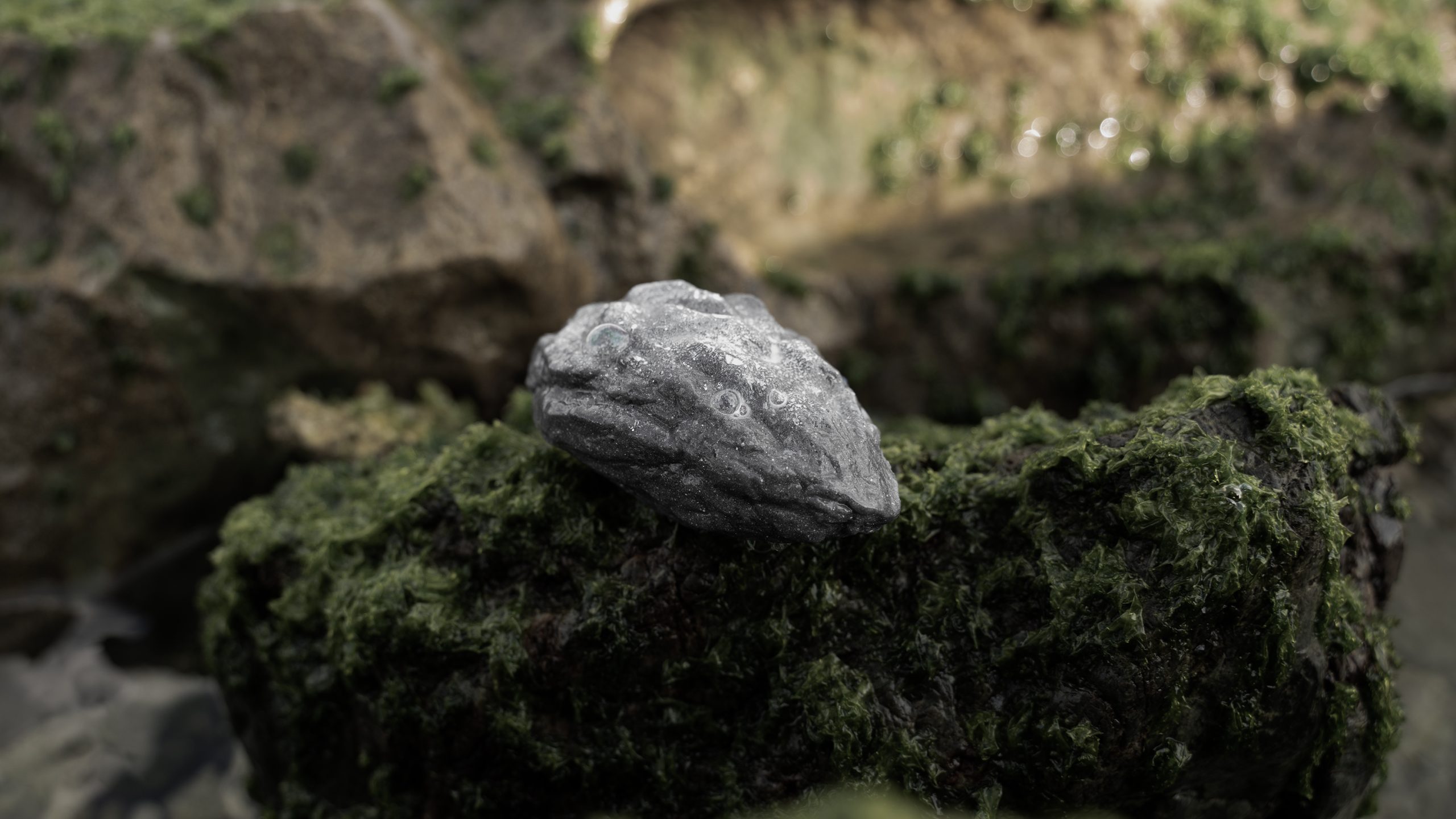 CELEMENT LAB 軟水泥生活實驗室