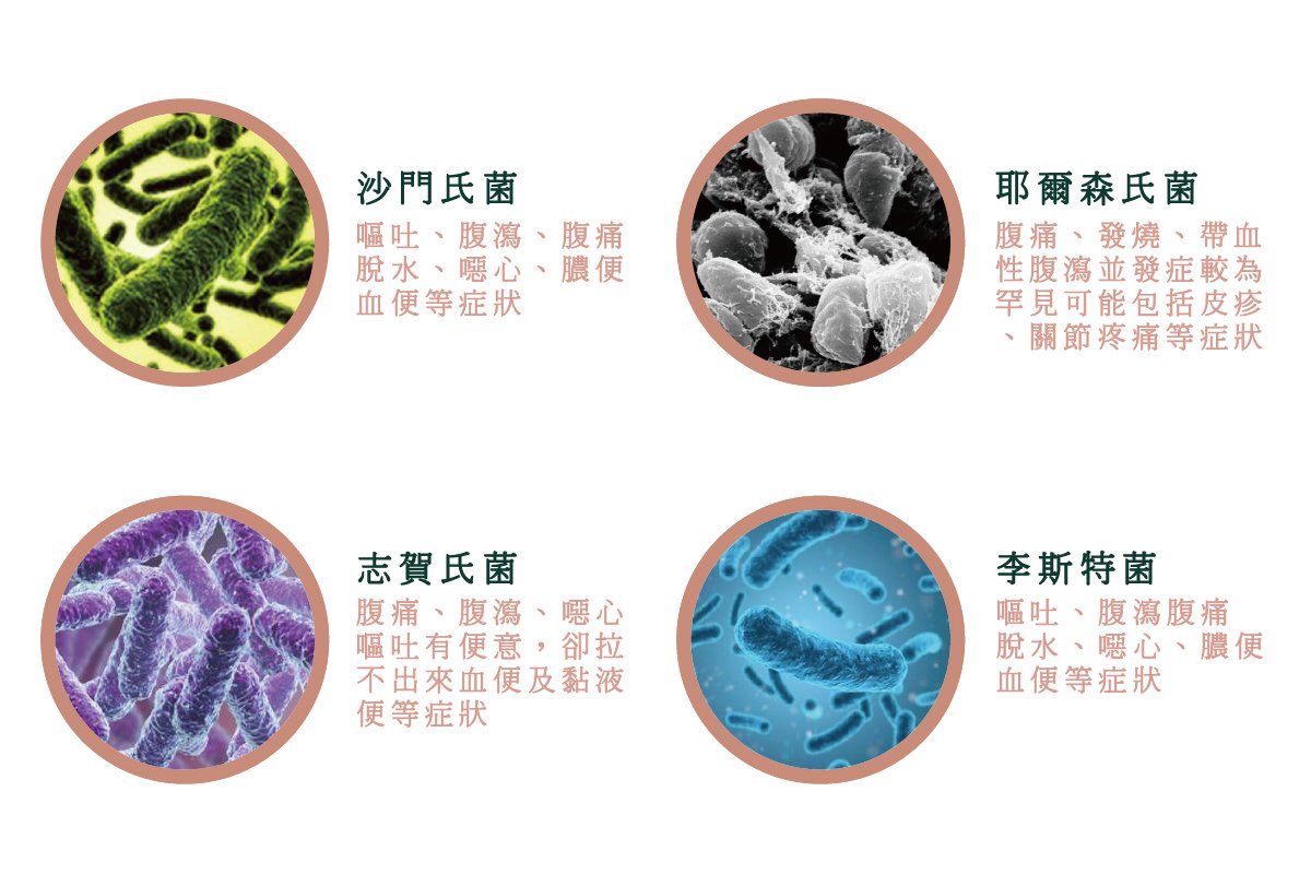 你可能不知道的四種最常見冰箱細菌！