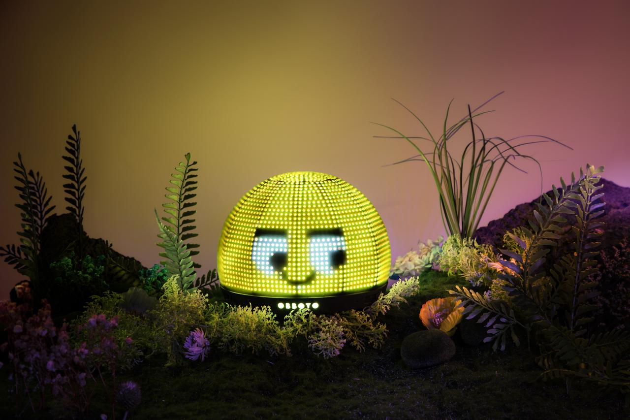 1dbd5908-f360-49dd-bf87-e265c60a4ef9