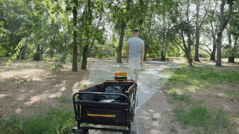 先進的 AI 視覺辨識系統