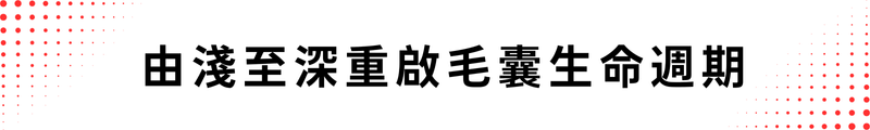由淺至深重啟毛囊生命週期