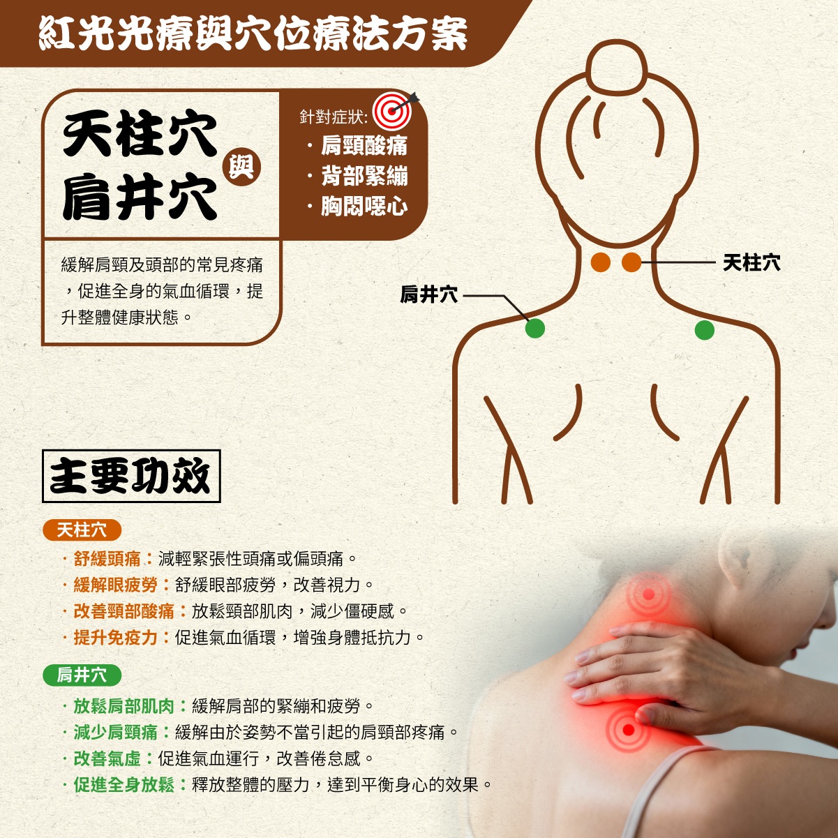 Maxcare 頸康寶 紅光光療與穴位療法方案 天柱穴 肩井穴