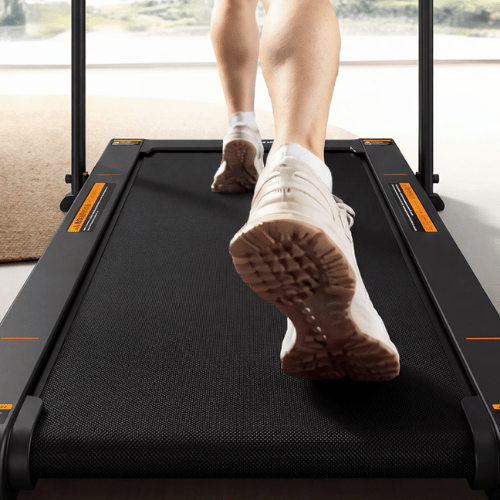 product image - 2026-02-13T145528.513