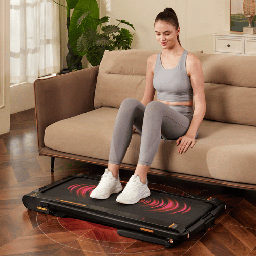 product image - 2026-02-13T145553.742