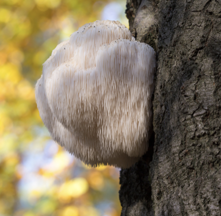 Screenshot 2026-03-02 at 2.27.24 PM