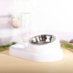 dogs bowl