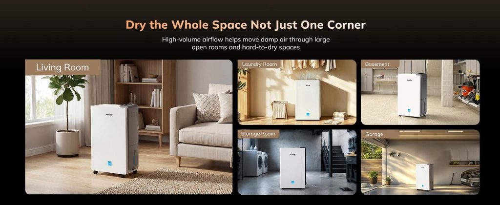 AEOCKY RHEA-001 energy star efficiency