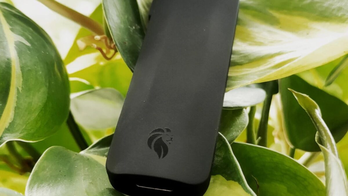 Liion Power Leo 電池延長器